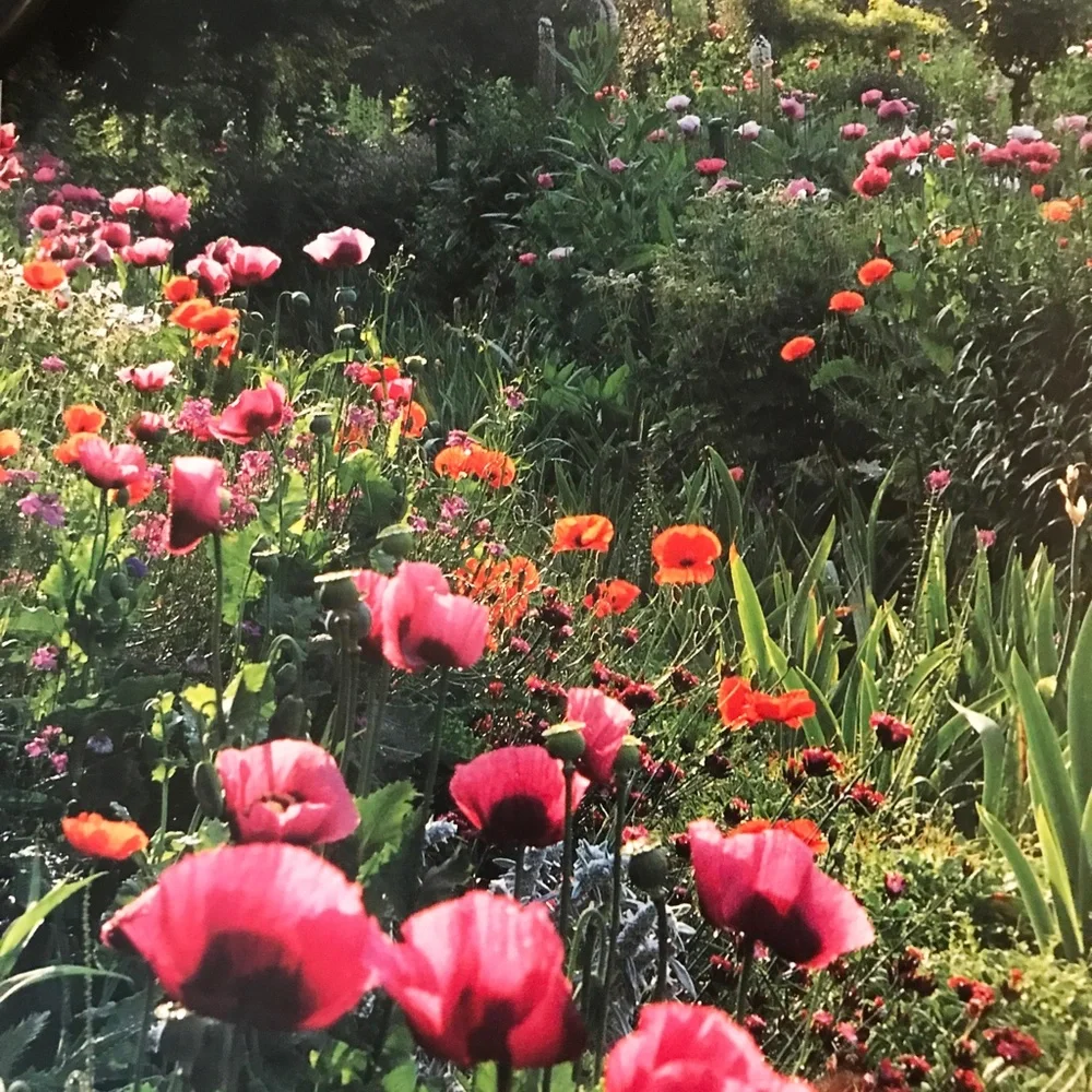 NWT  "Monet's Garden - Through the Seasons at Giverny" by Vivian Russel - Picture 10 of 12